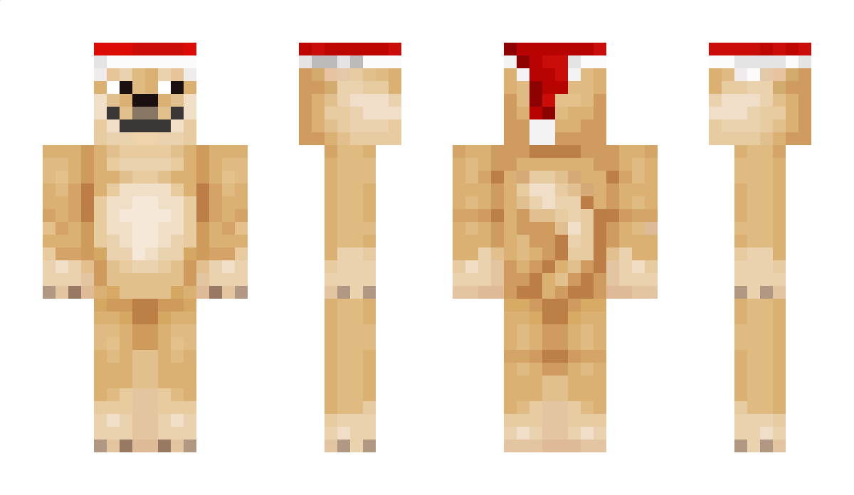 Sollax Minecraft Skin