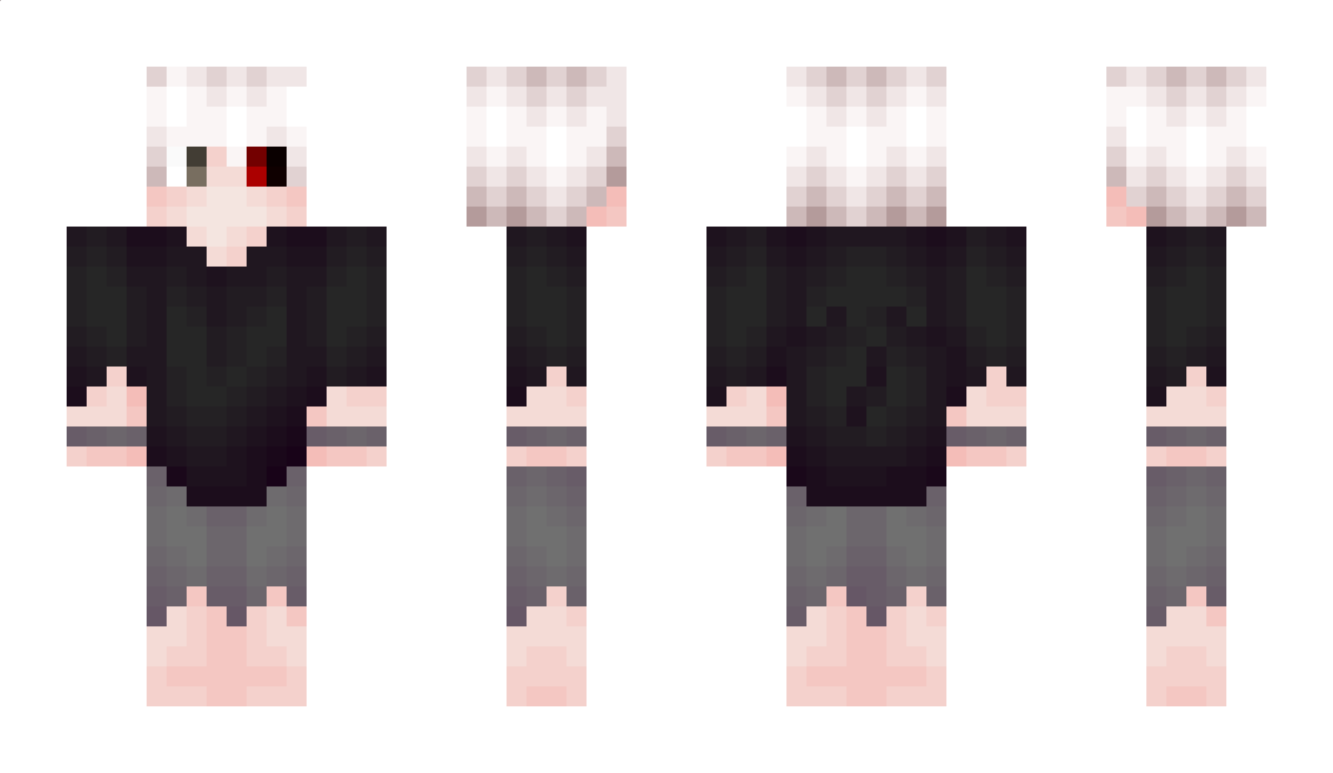 Raillox Minecraft Skin