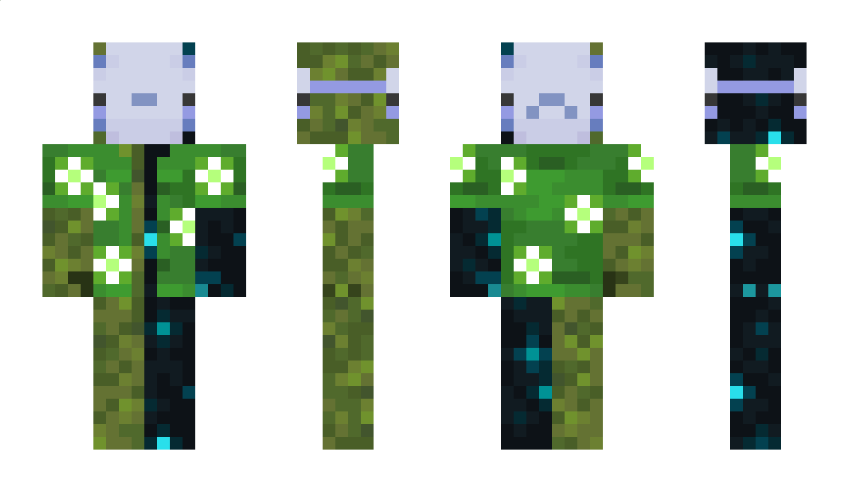 BulguaBaleine Minecraft Skin