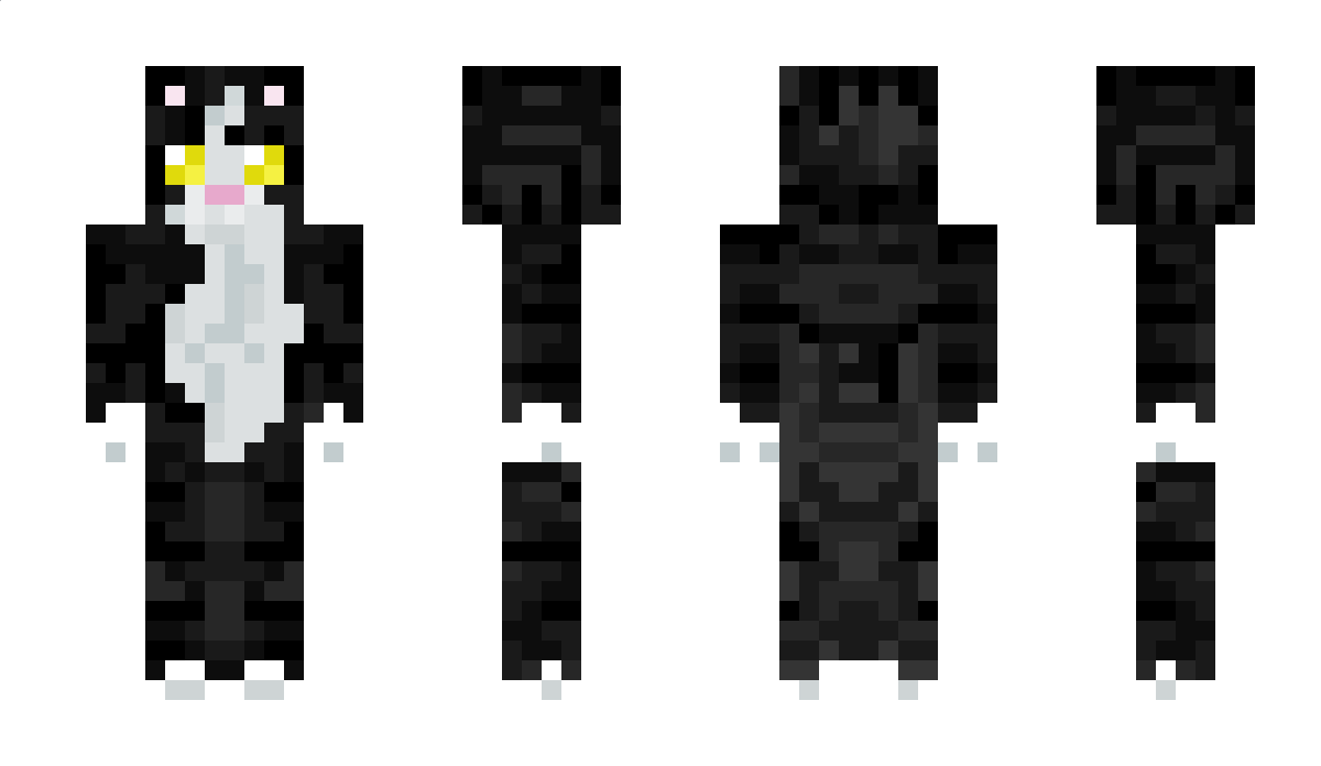 petitzizi Minecraft Skin