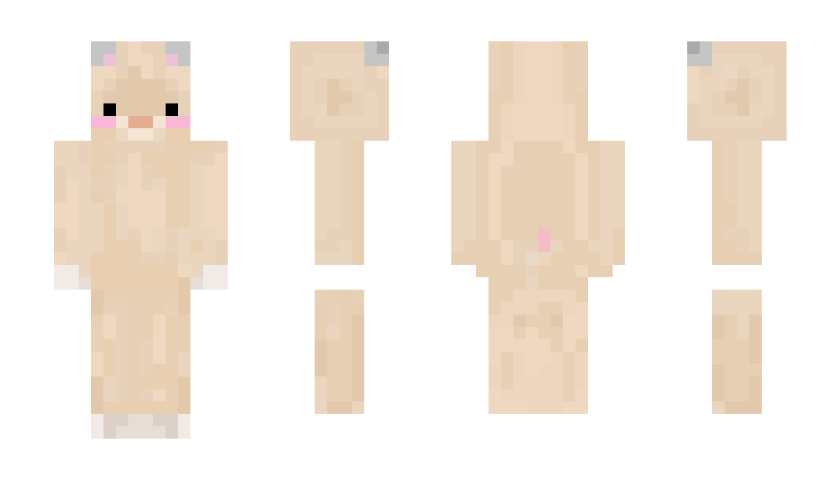 Joodding Minecraft Skin