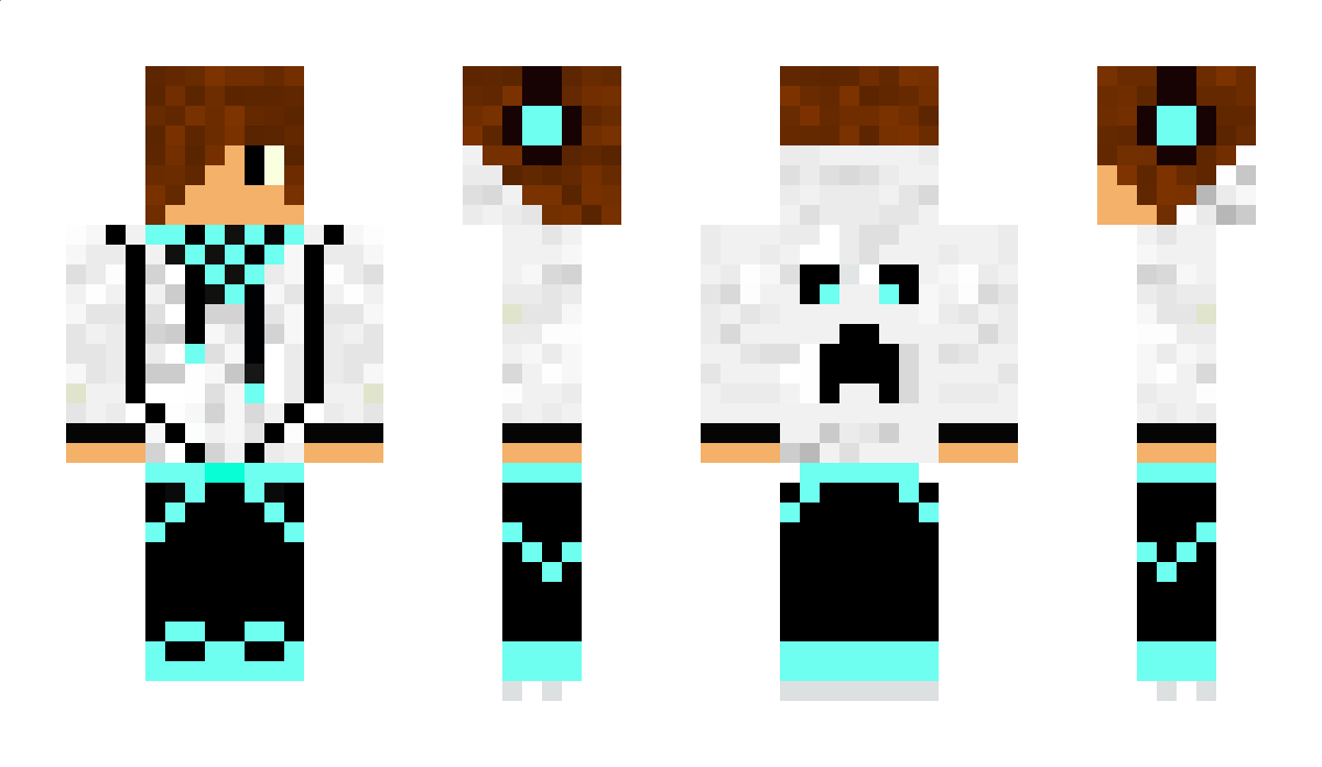 WiBu Minecraft Skin