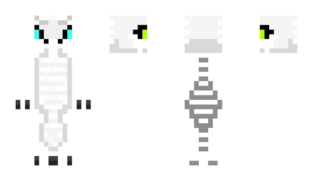 DR0G0NSN0W Minecraft Skin