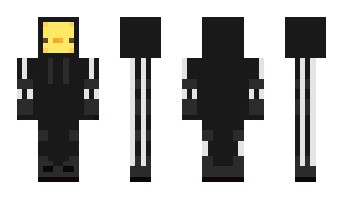 Sebstroyer Minecraft Skin