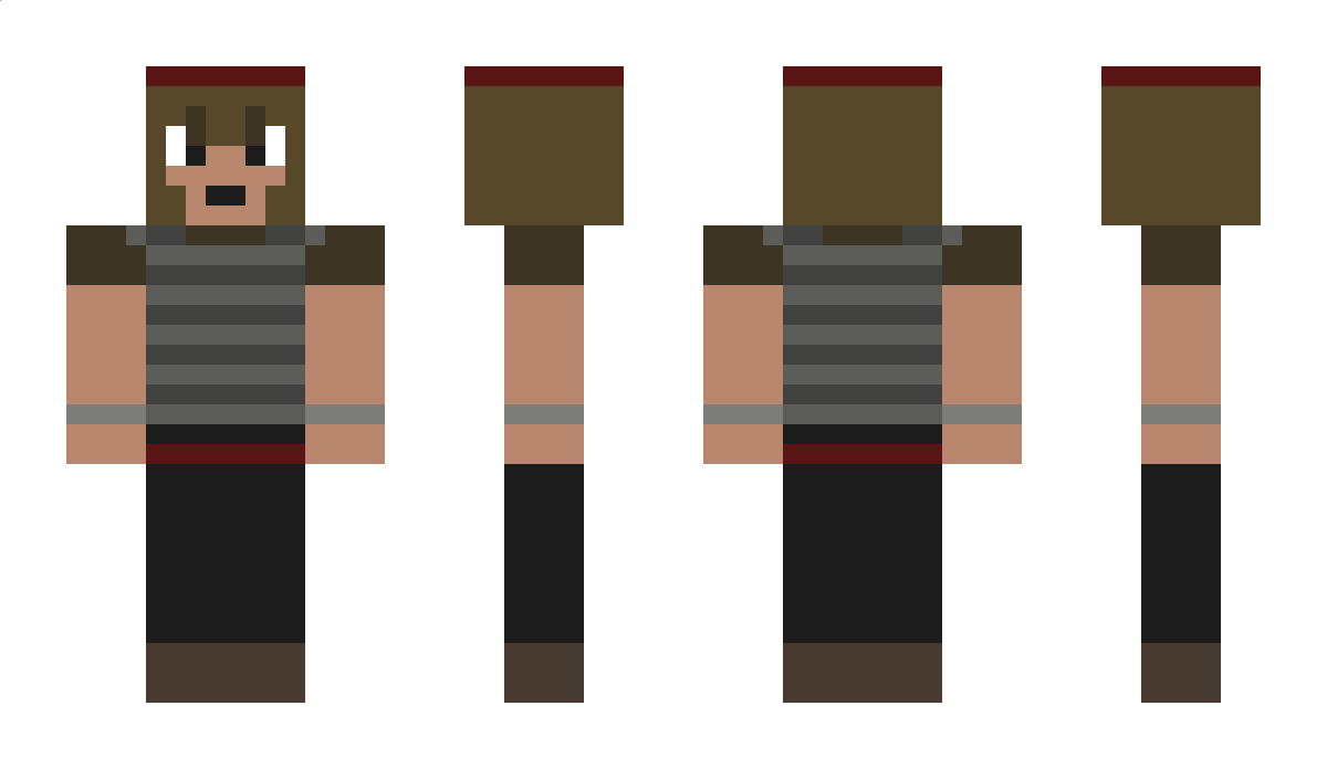 HPE Minecraft Skin