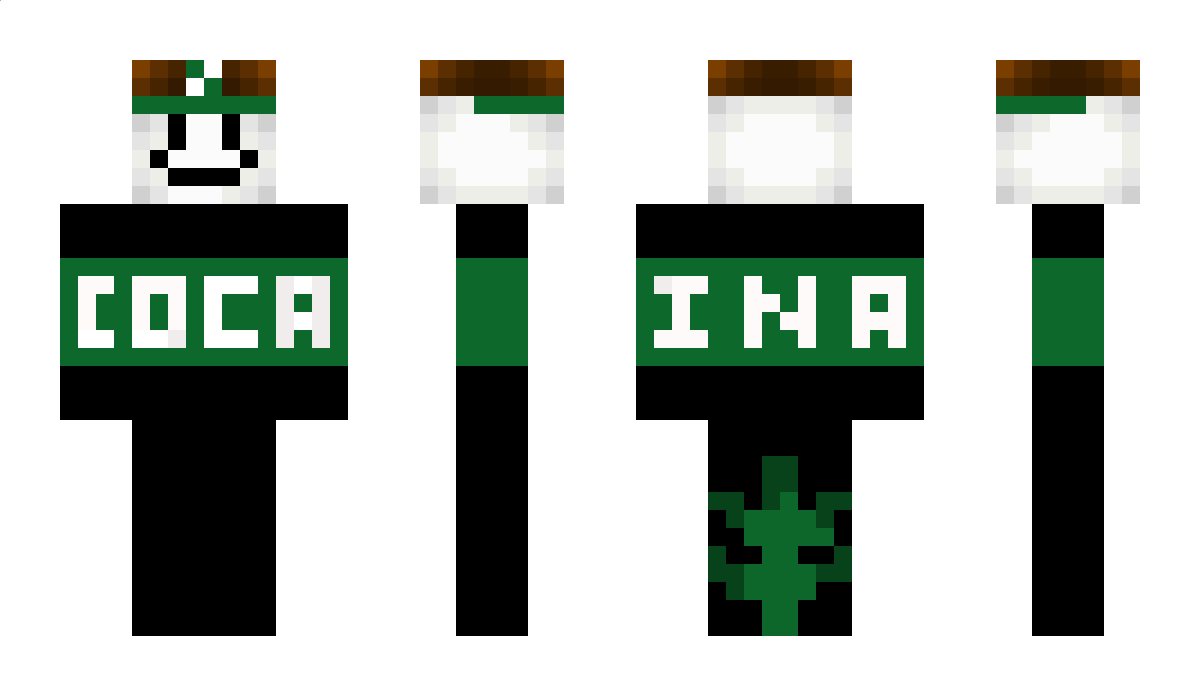 Du170521 Minecraft Skin