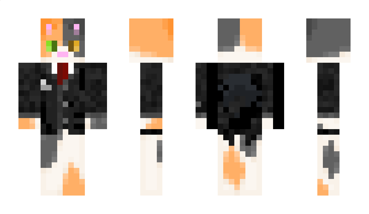 coolcatx47 Minecraft Skin