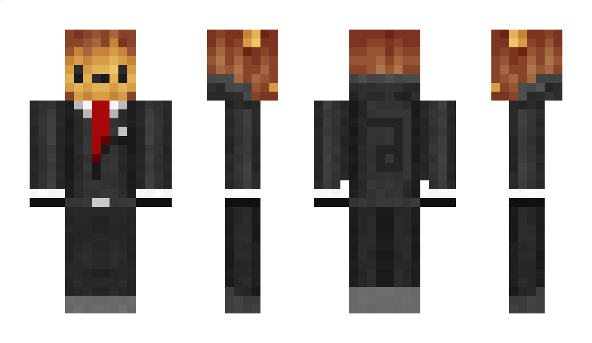 sub2kinglionrss Minecraft Skin