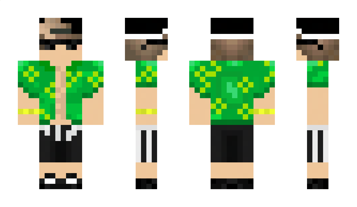 DenStar39 Minecraft Skin