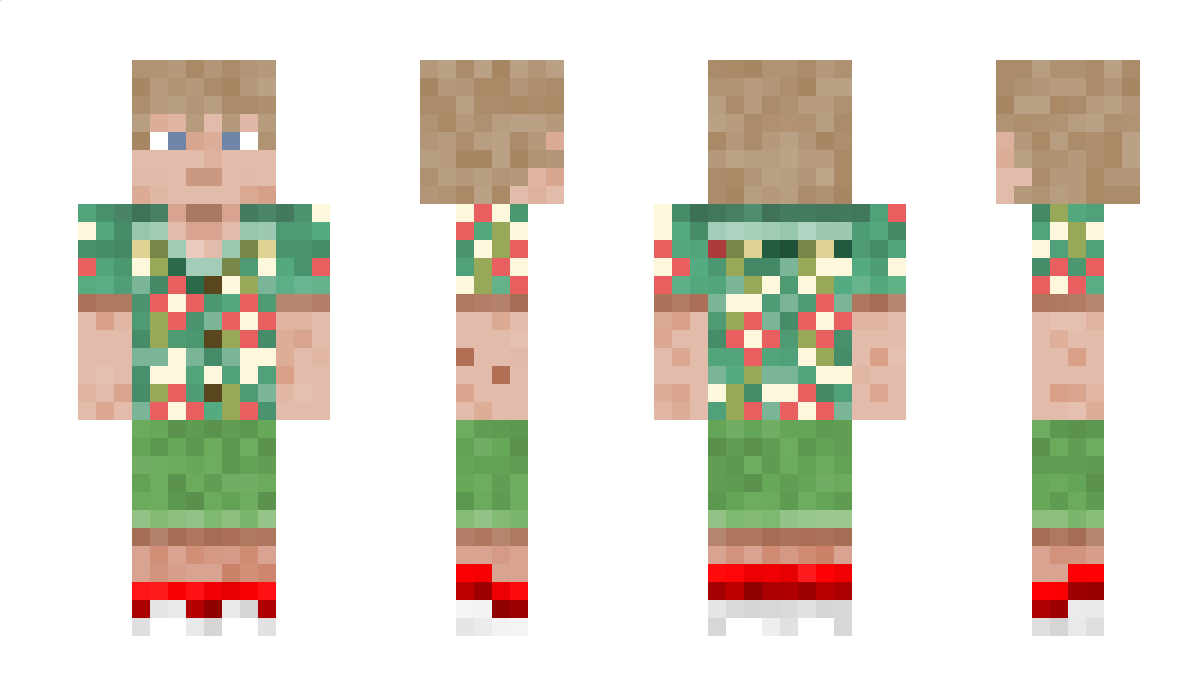 TWA35 Minecraft Skin