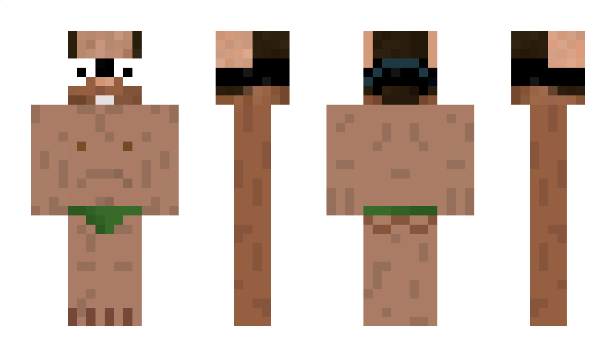 SchweinLamm8022 Minecraft Skin