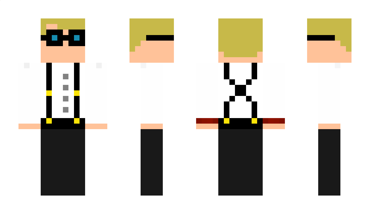 Established Minecraft Skin