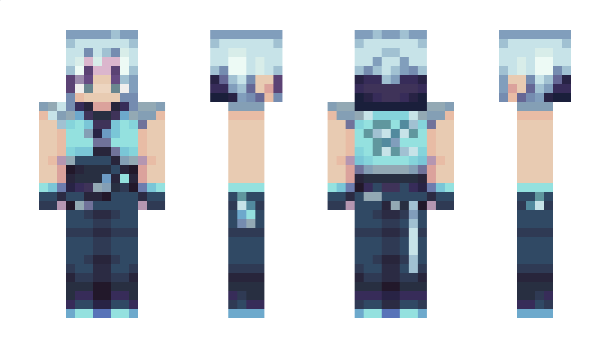 STEDEC77100 Minecraft Skin