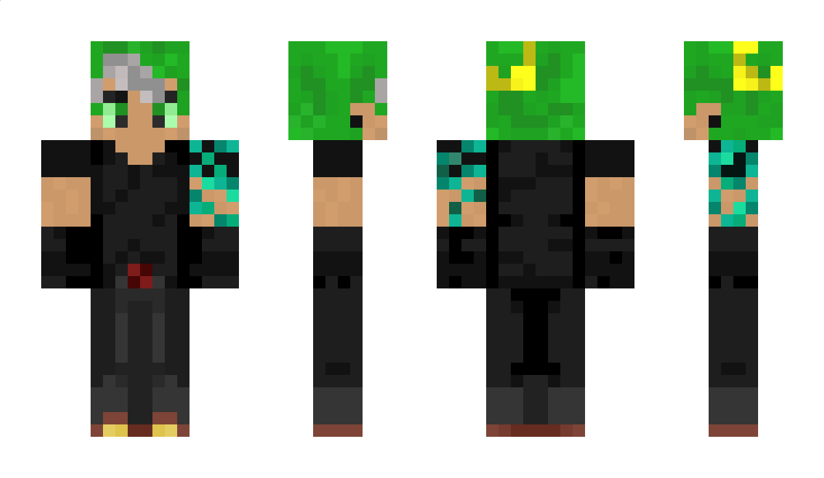 Puglord179 Minecraft Skin