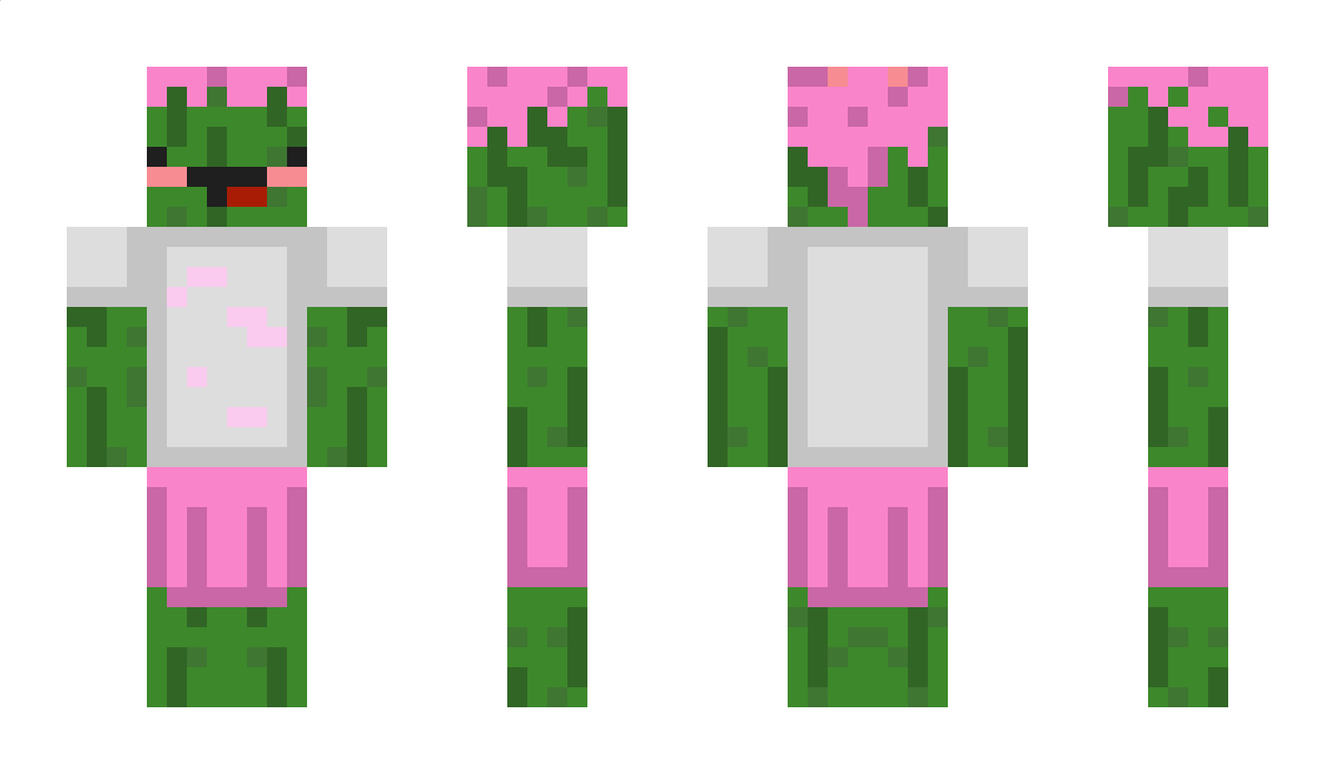 JustAnyone Minecraft Skin