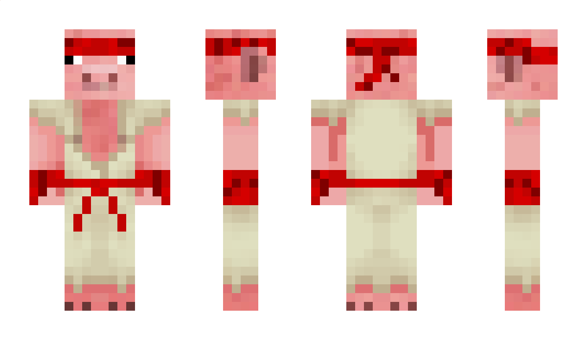 PigCrafter2406 Minecraft Skin