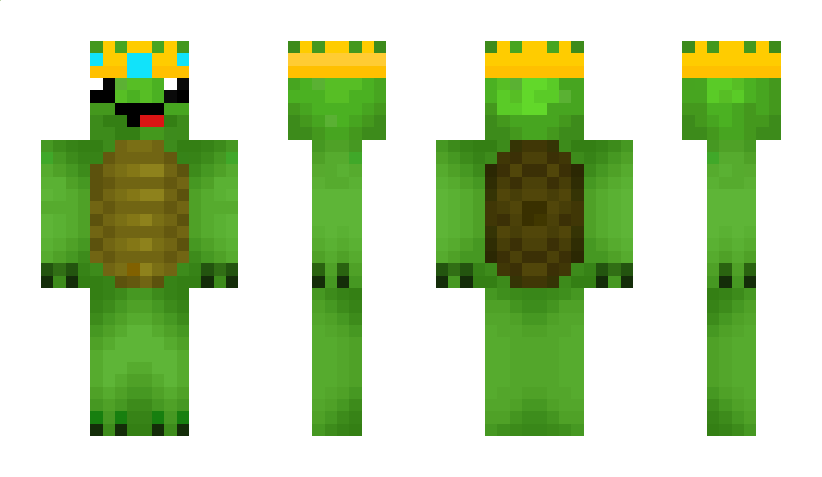 DimaSchildi Minecraft Skin