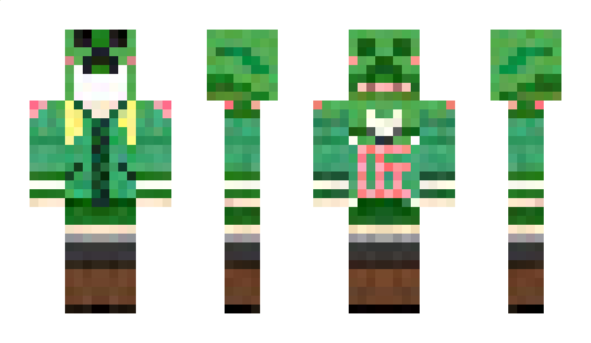 Ranichan Minecraft Skin