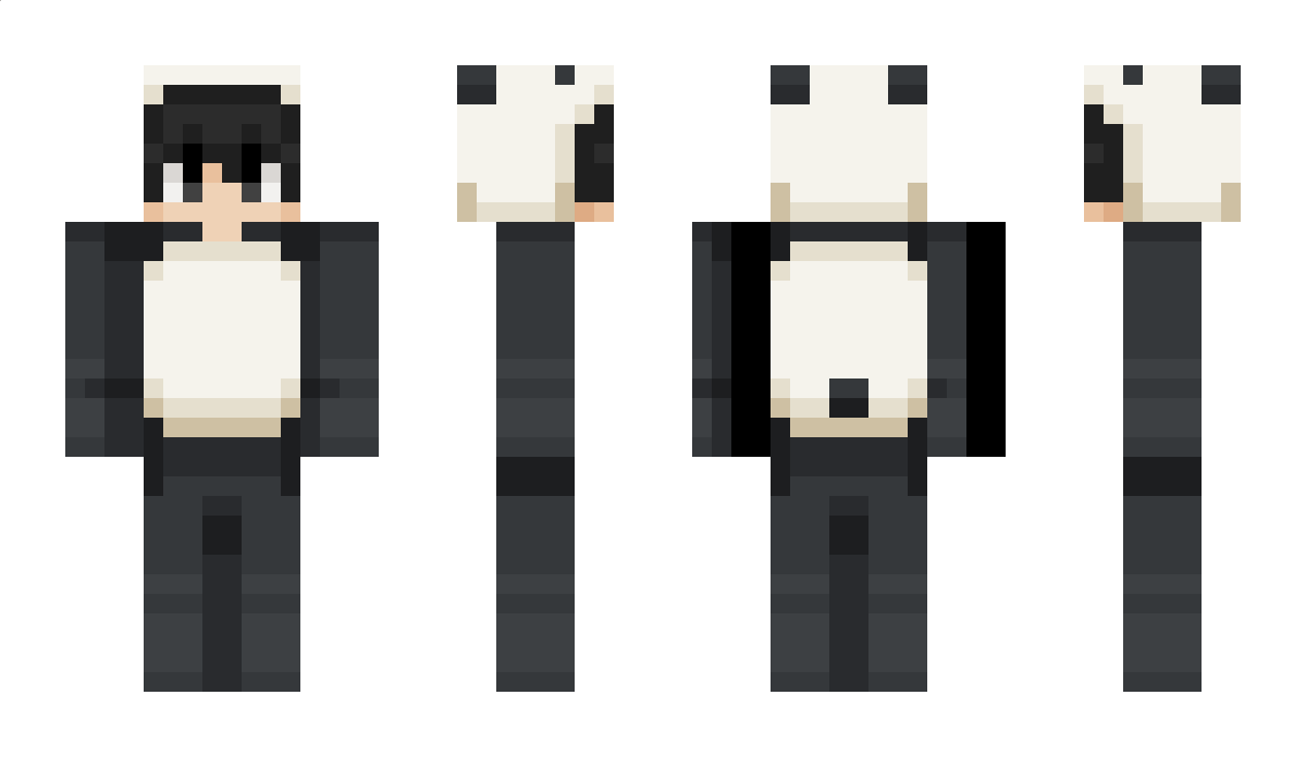 GermanAirways Minecraft Skin