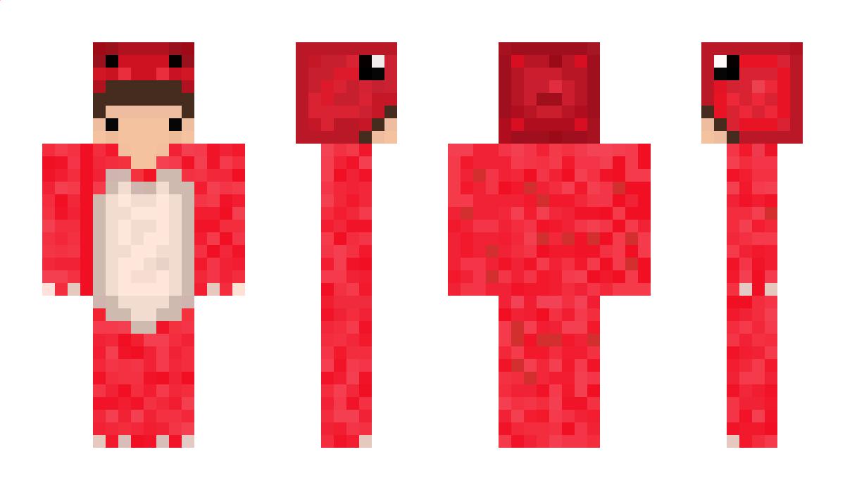 coco0n Minecraft Skin