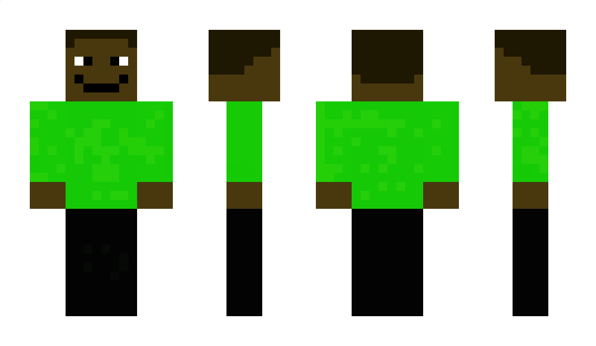 swwde Minecraft Skin