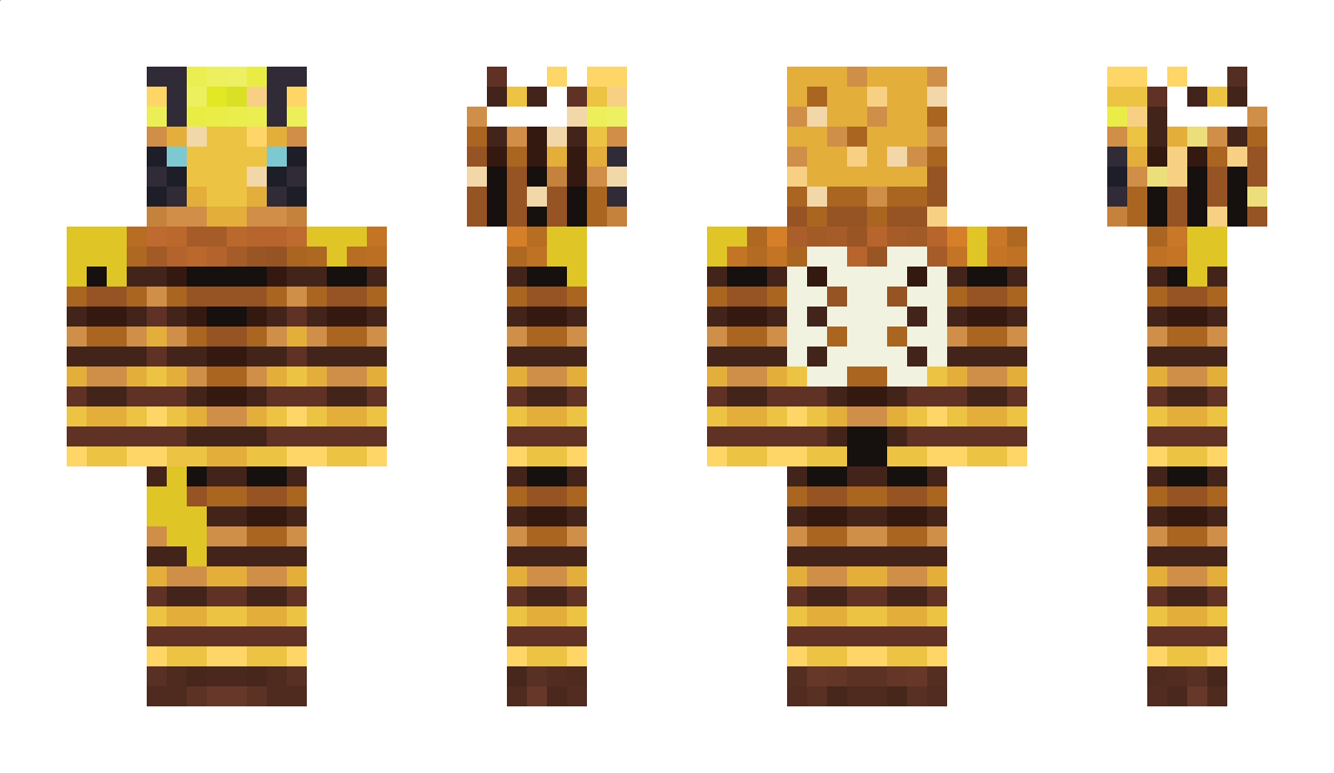 DuckySaucer3112 Minecraft Skin