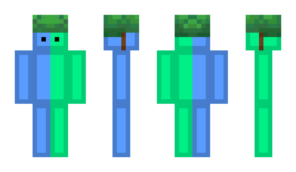 BackwardVoice73 Minecraft Skin