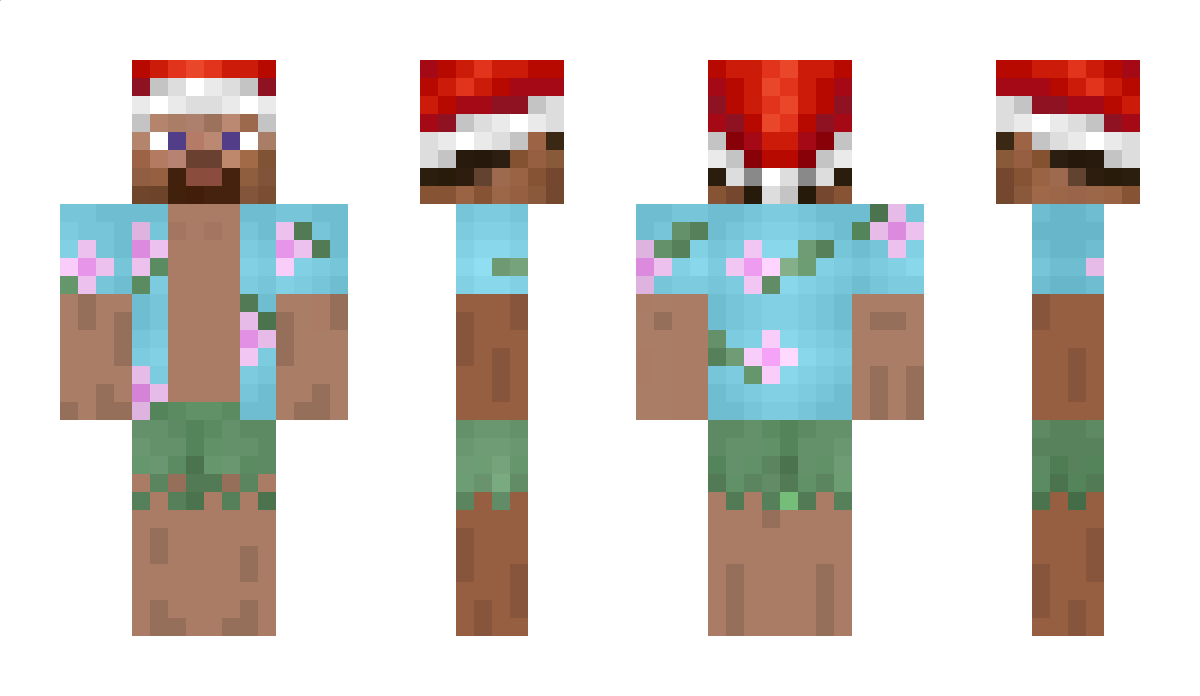 Dziubass1234 Minecraft Skin