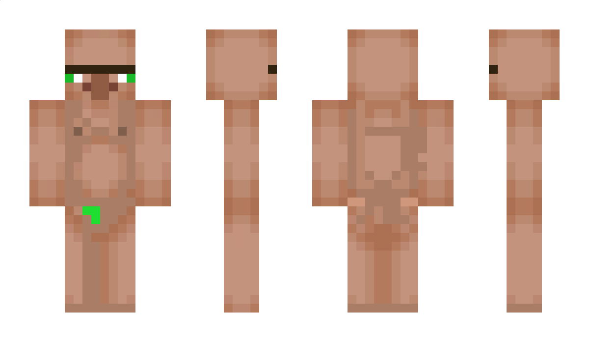 anvand Minecraft Skin