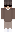 TSlegend11 Minecraft Skin