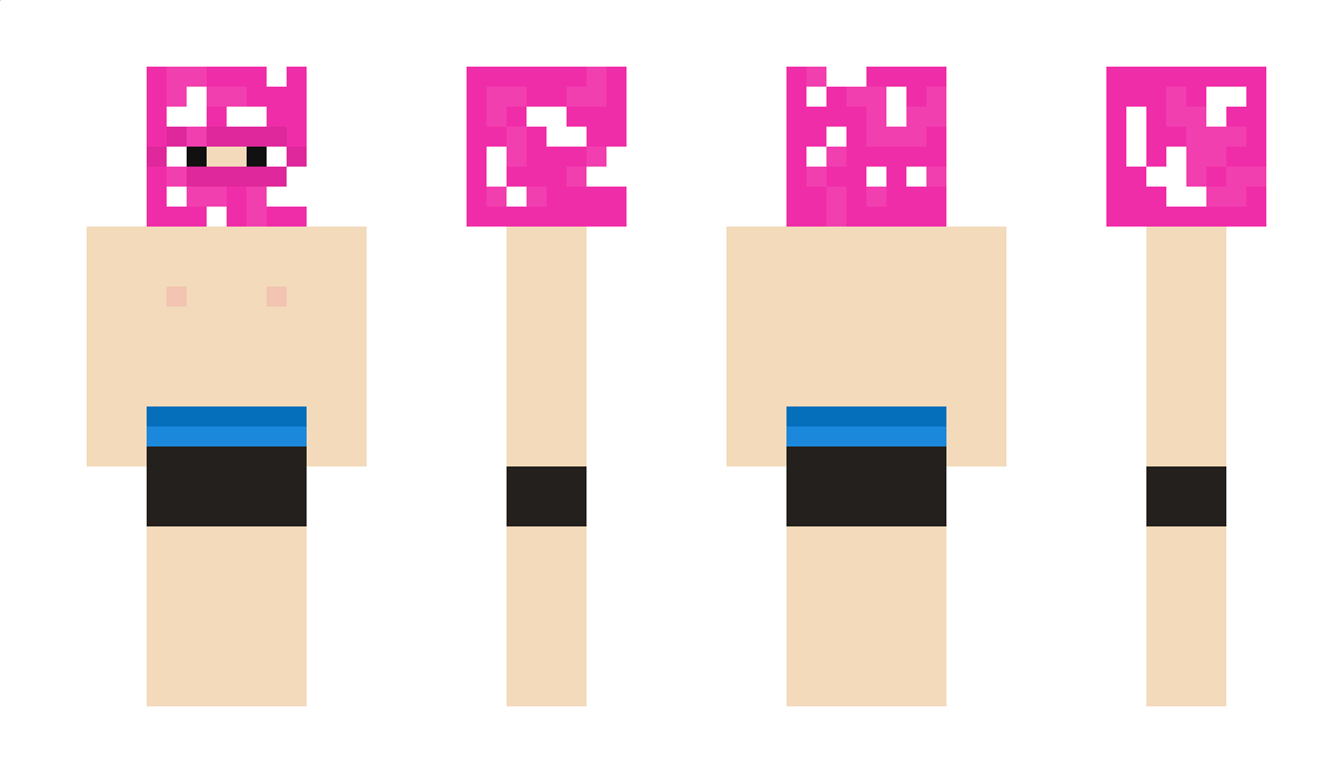 Muismu Minecraft Skin