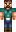 appelman Minecraft Skin