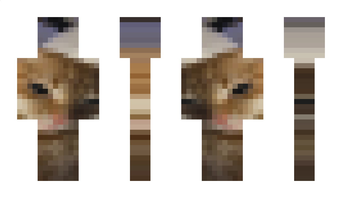 swagga8640 Minecraft Skin