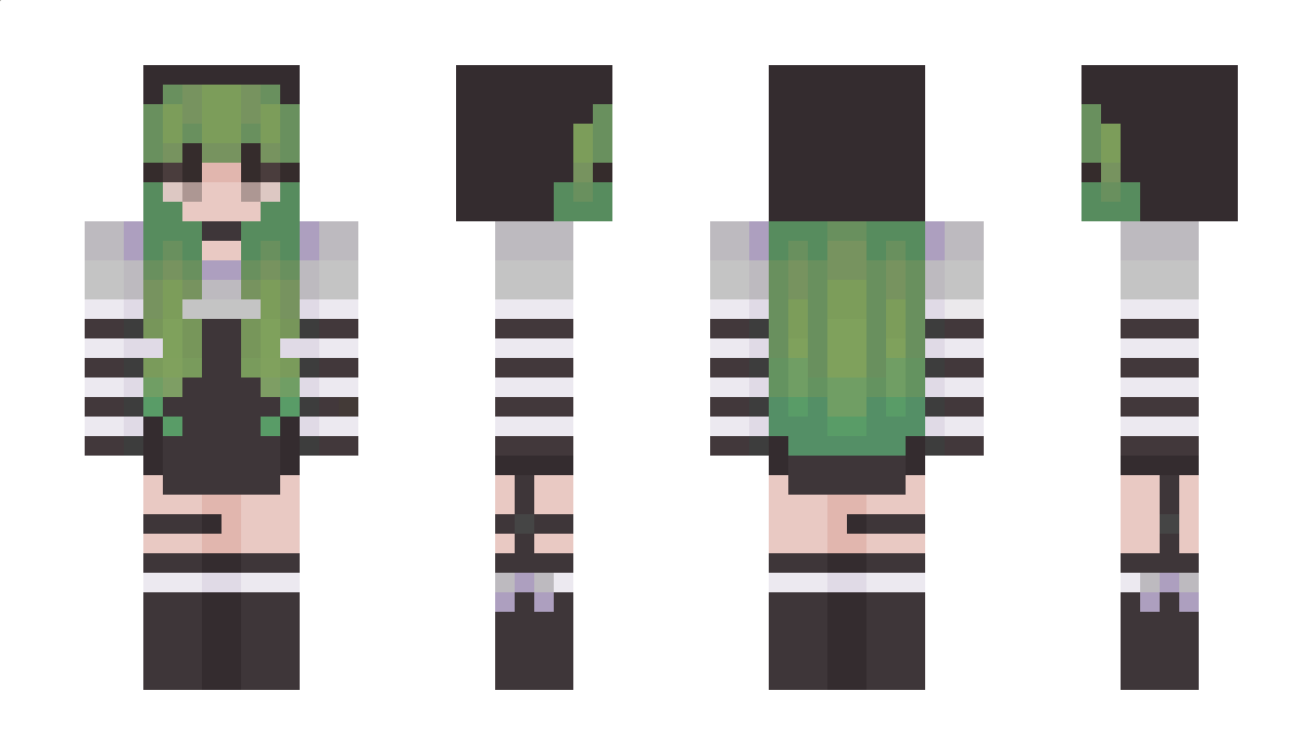 1719 Minecraft Skin