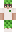 kotek6 Minecraft Skin