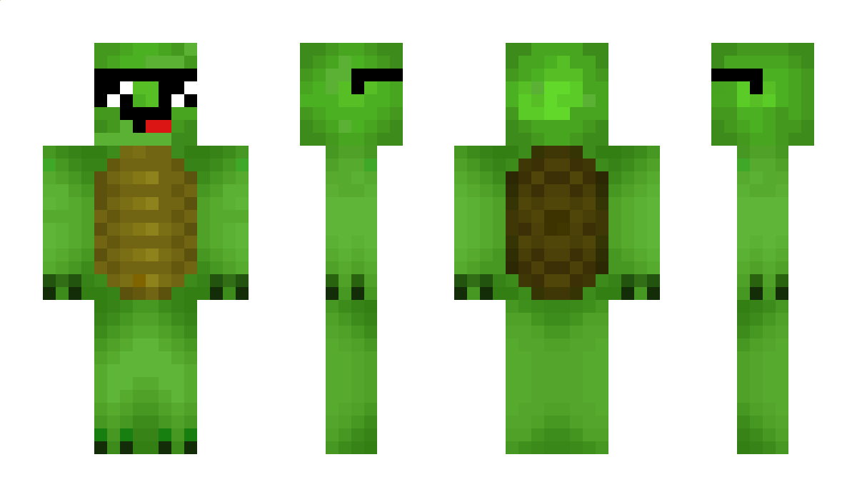 Schilpad Minecraft Skin