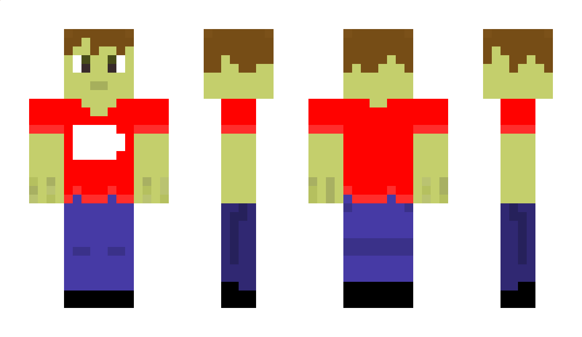 MCSteveJamer Minecraft Skin