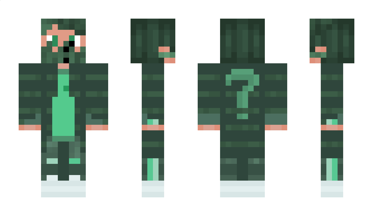 TeMi1K Minecraft Skin