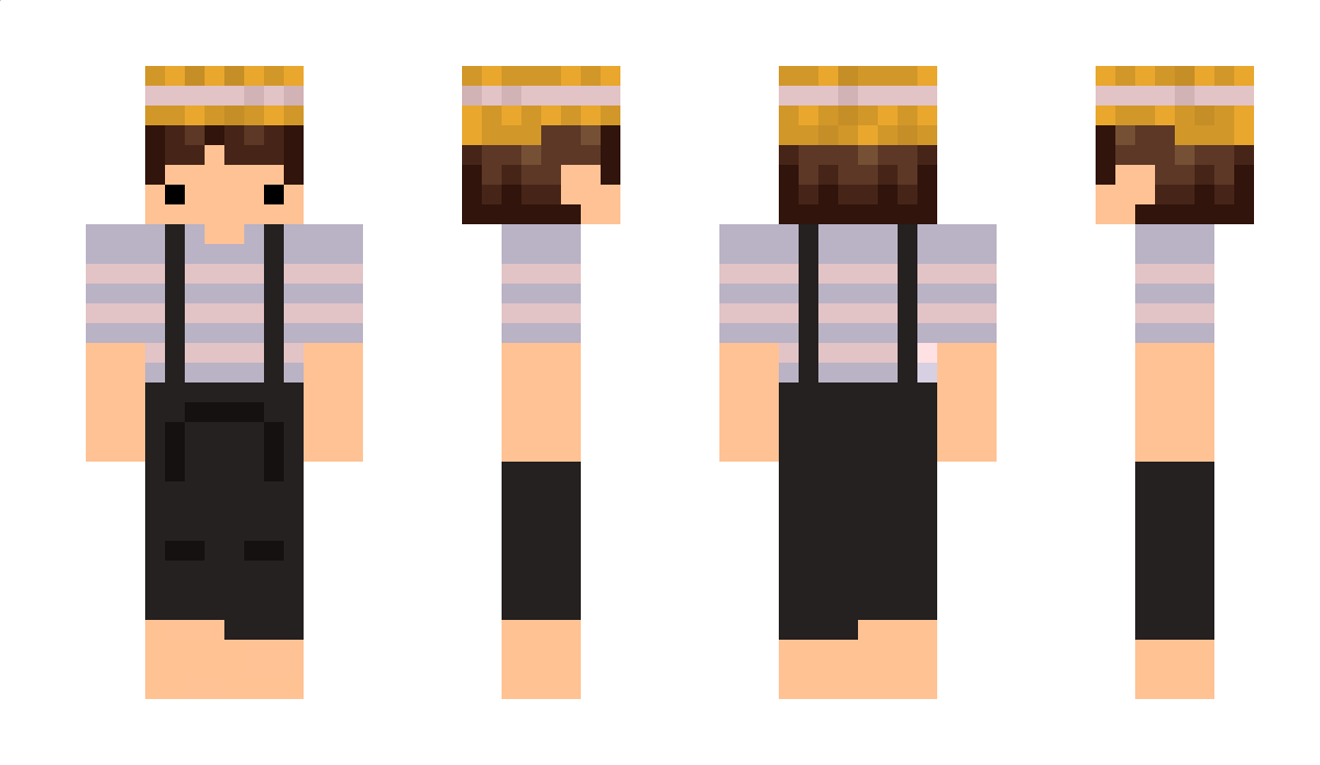 AnkaraView Minecraft Skin