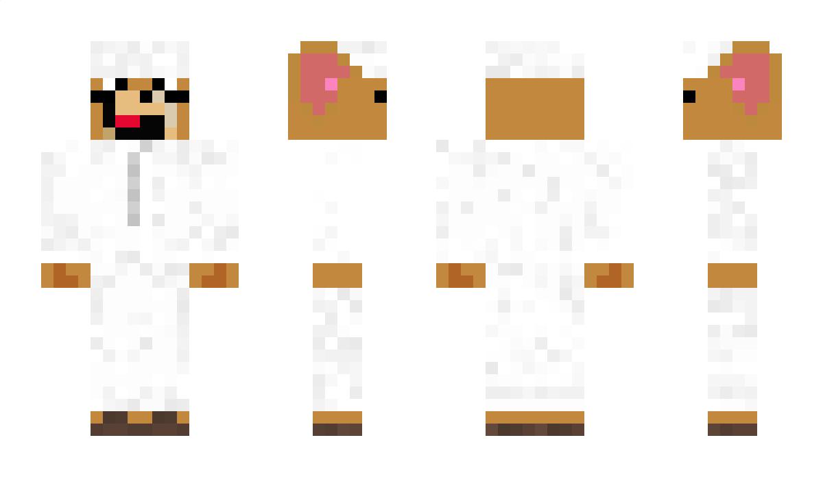 iWhite_Ninja Minecraft Skin