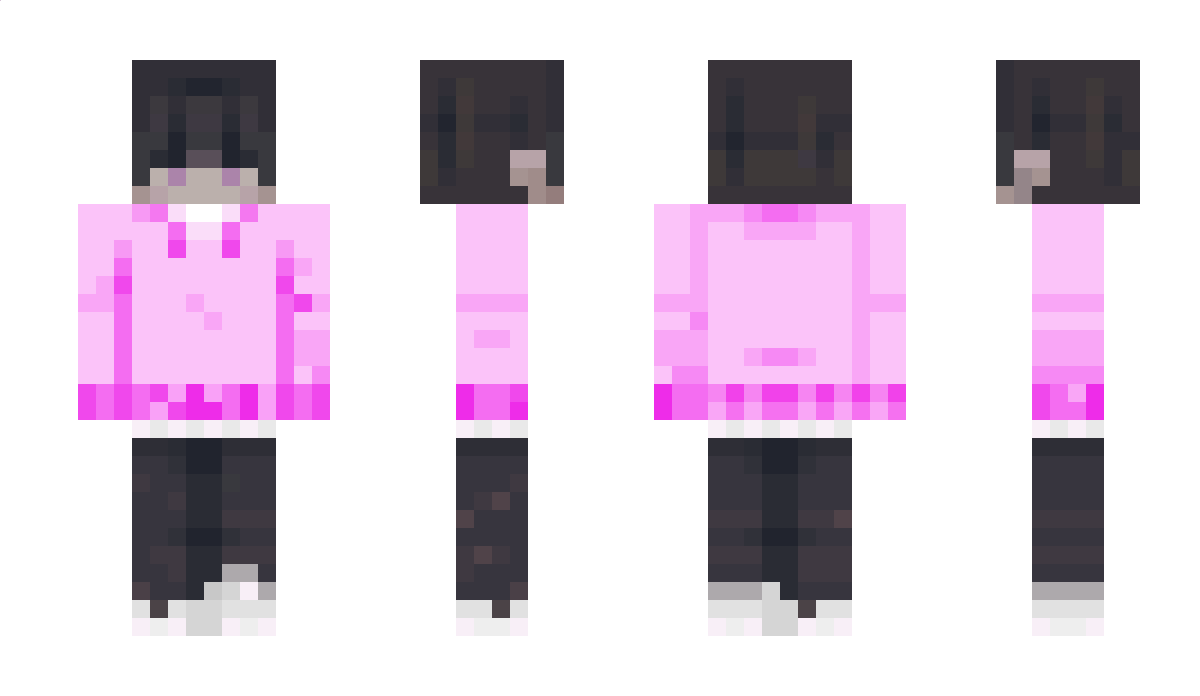 SR737 Minecraft Skin