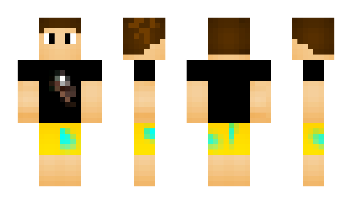 cubordinateur Minecraft Skin