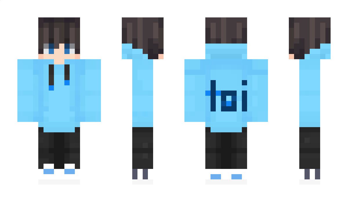 LostiCraft Minecraft Skin