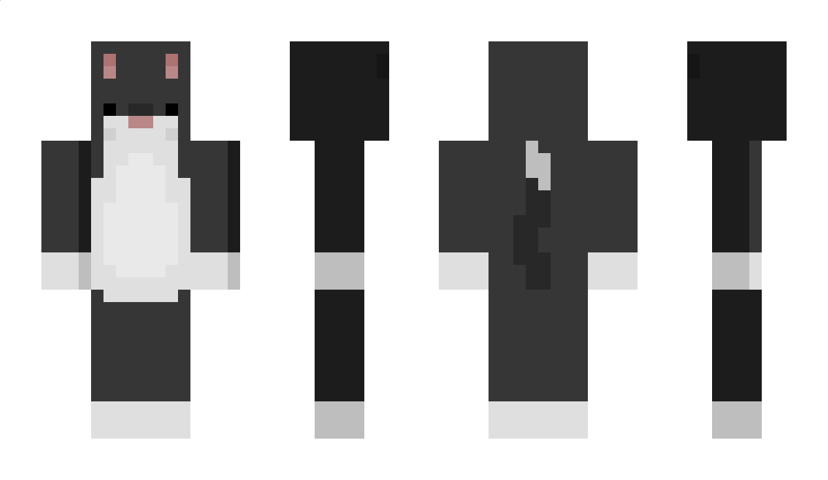 Phsycat0 Minecraft Skin