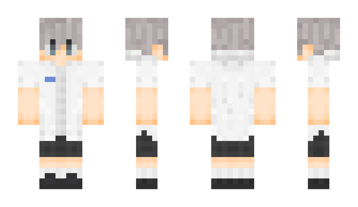 ShiroTora_ Minecraft Skin