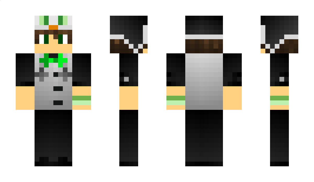 APixelPuffin Minecraft Skin