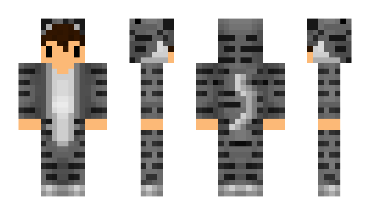 Vezizo Minecraft Skin