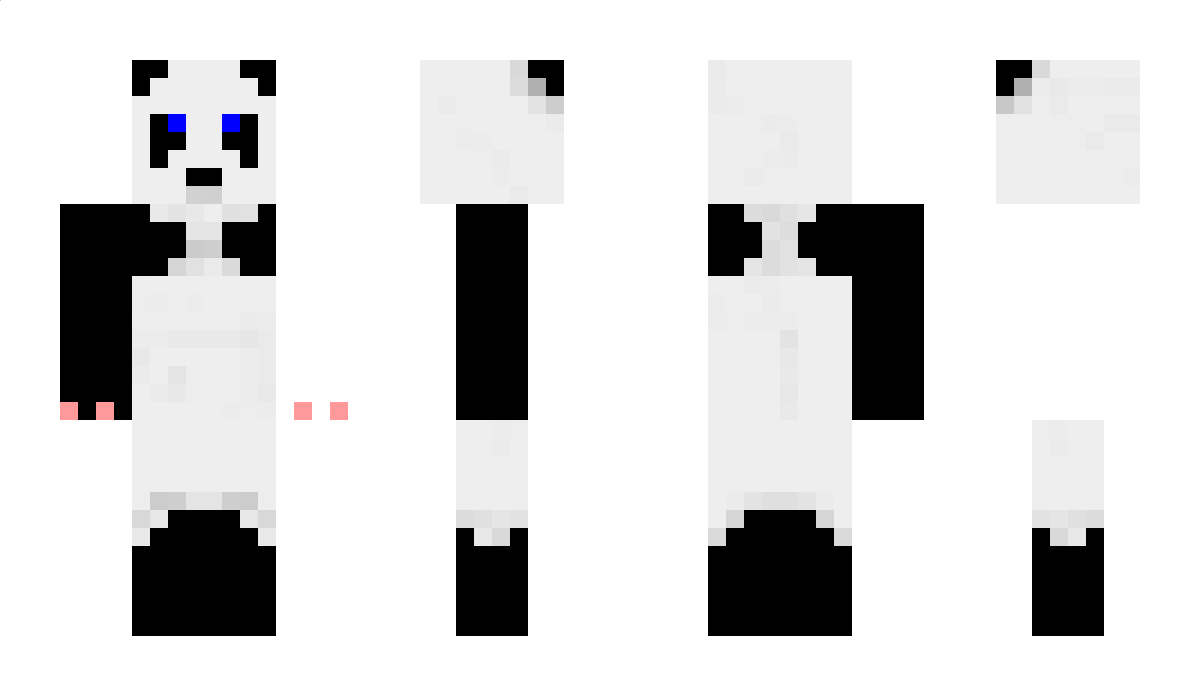 MJD17 Minecraft Skin