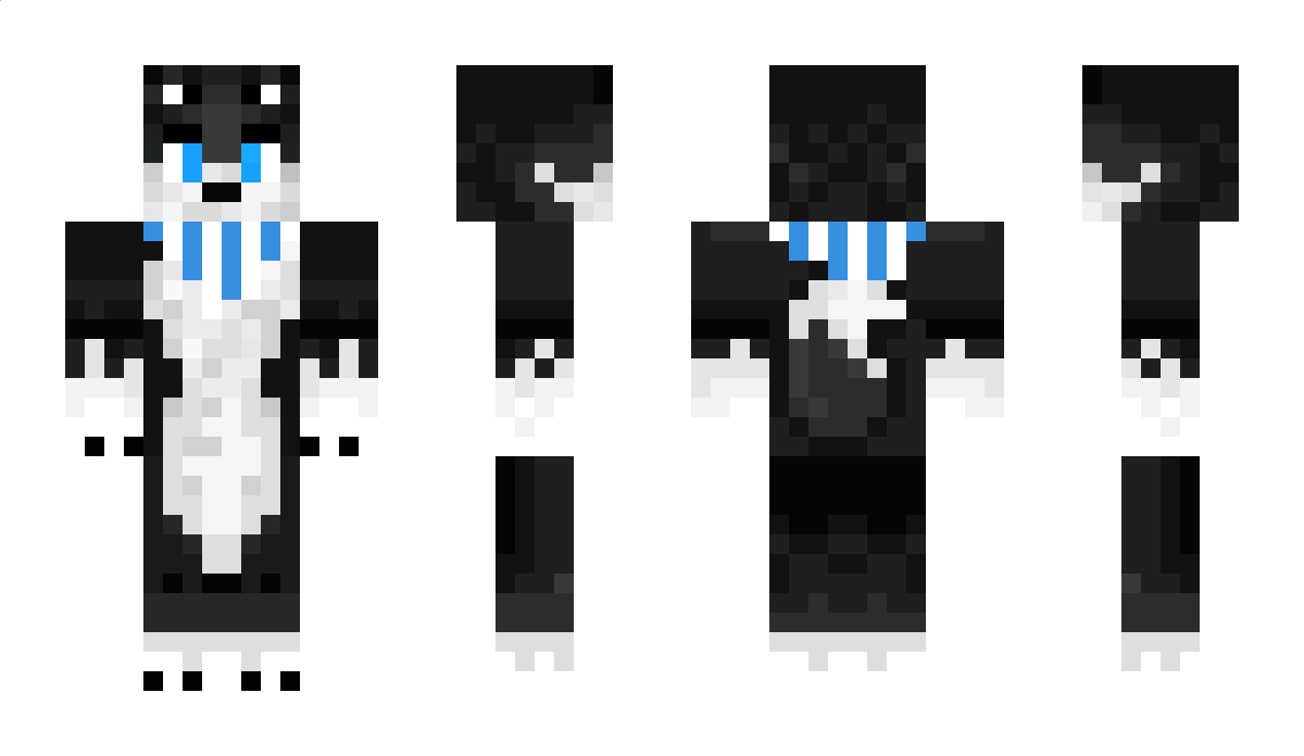 haxus101 Minecraft Skin