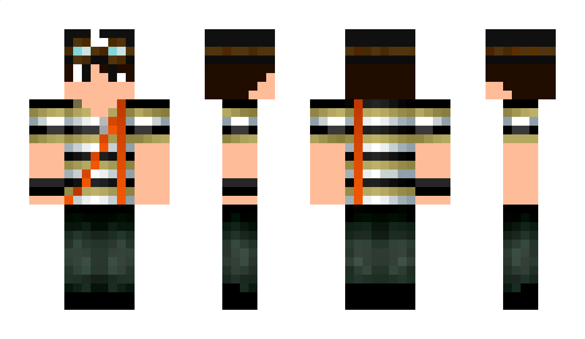 hlc2901 Minecraft Skin